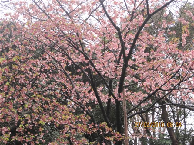 Picture 207 (Small).jpg